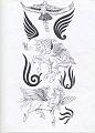 Insetti ecc (163)